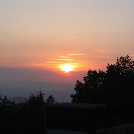 Zur Schonen Aussicht Freyung-grafenau *